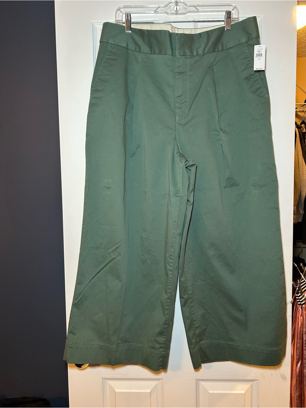 GAP Wide-Leg Pleated Forest Green Chinos